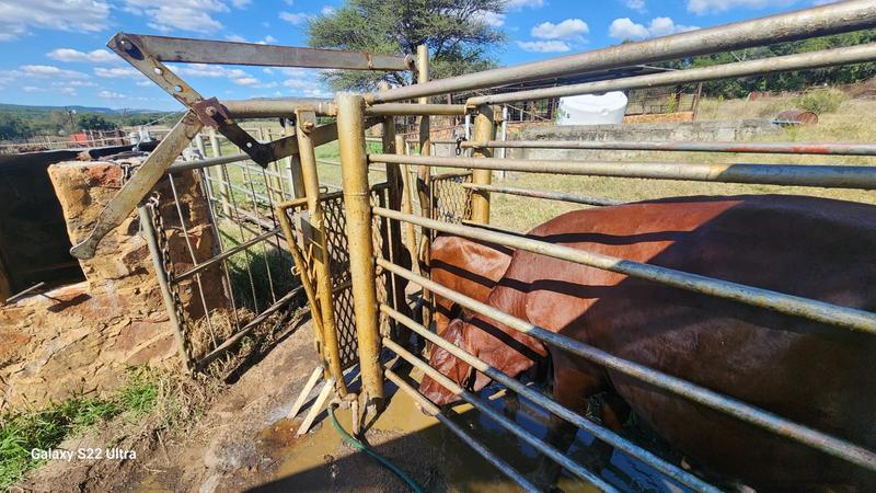 0 Bedroom Property for Sale in Olifantshoek North West